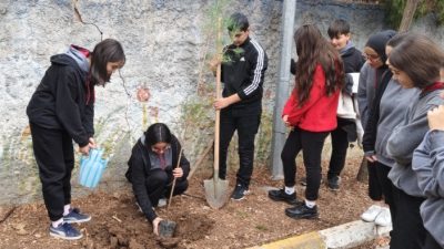 Ziya Gökalp Anadolu Lisesi’nde Yeşeren Umutlar: Okul bahçesi fidanlarla süslendi