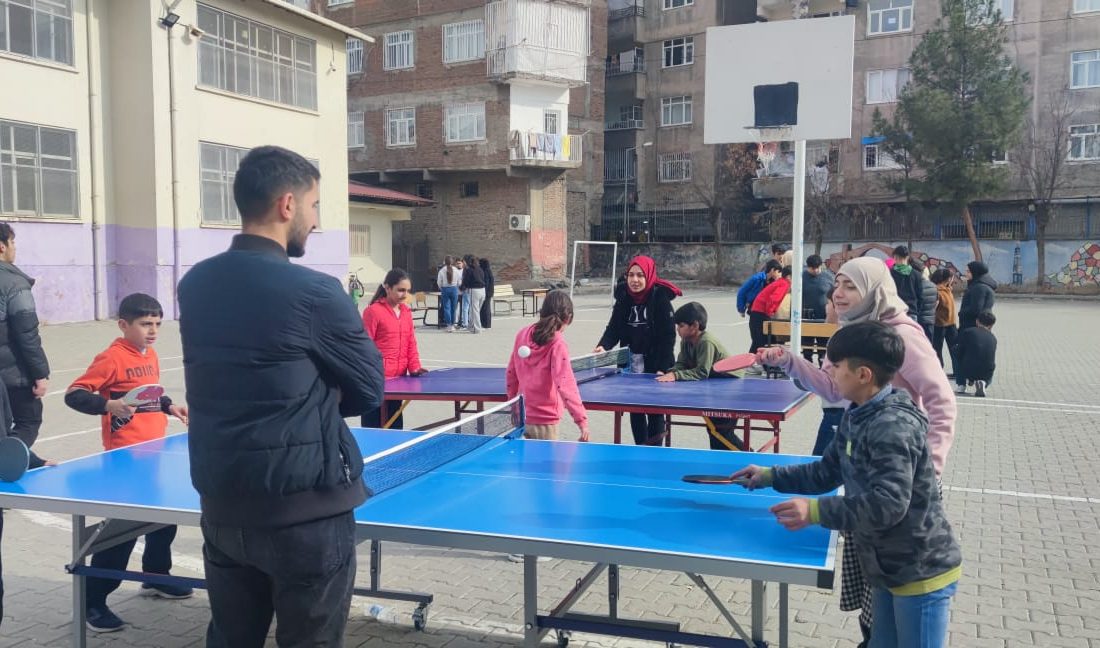 Diyarbakır'da Melik Ahmet Anadolu