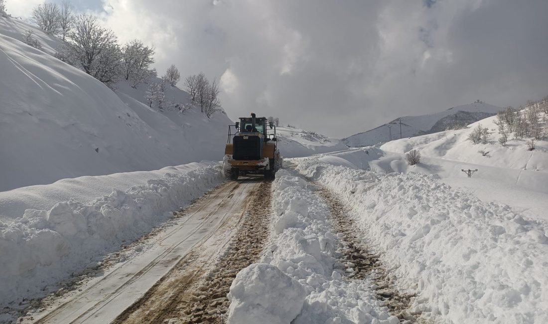 Diyarbakır Büyükşehir Belediyesi ekipleri,