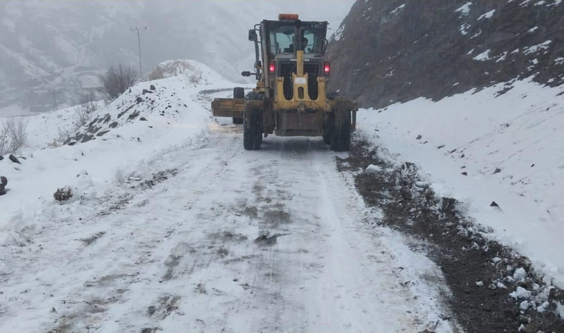 Diyarbakır Büyükşehir Belediyesi ekipleri,