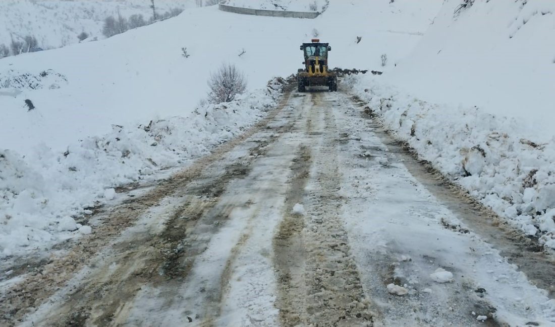 Diyarbakır Büyükşehir Belediyesi ekipleri,