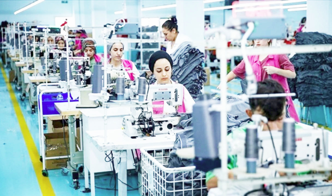 DEM Partili Ceylan Akça