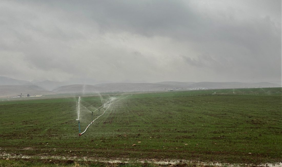 Dicle Elektrik, Mardin’in Artuklu