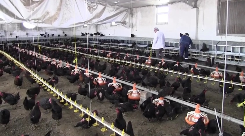 Dicle Üniversitesi Ziraat Fakültesi