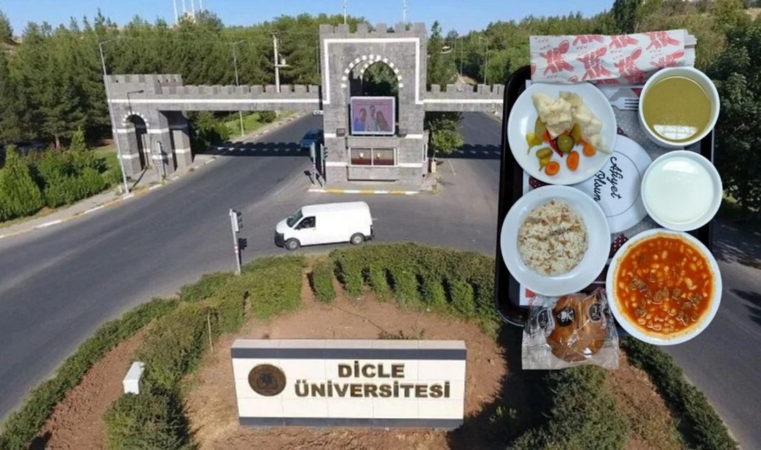 Diyarbakır Dicle Üniversitesi, Yapı