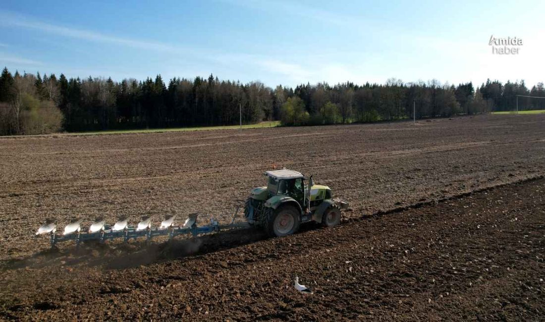 Diyarbakır’da 5 milyon dönüm risk altında Diyarbakır’da kış mevsiminin bitmesine