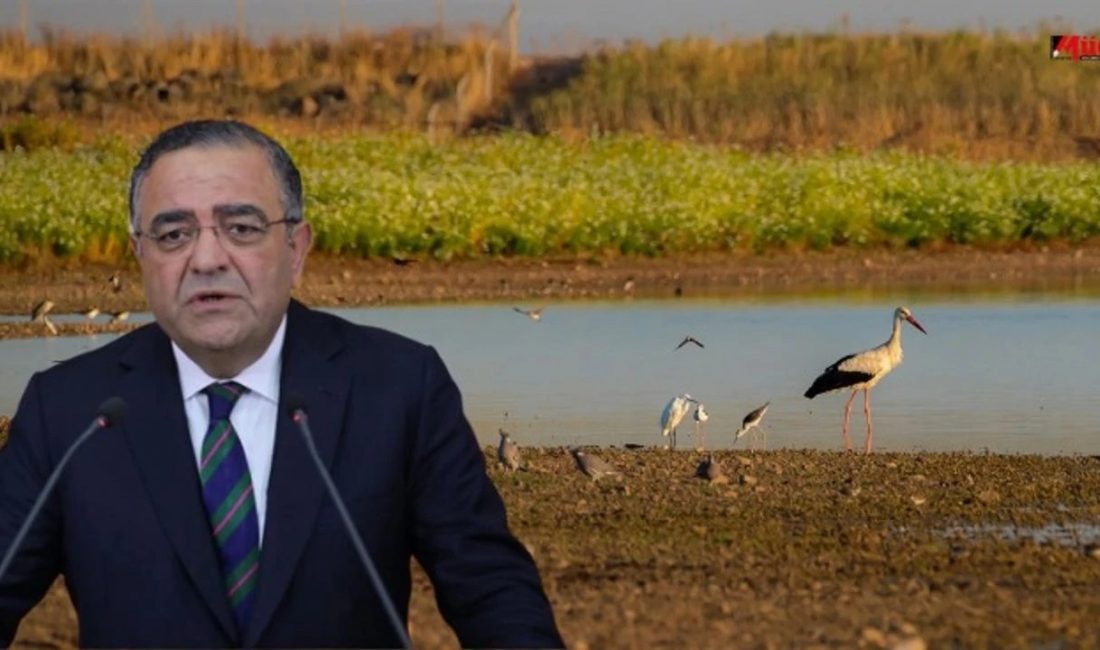 Diyarbakır milletvekili Sezgin Tanrıkulu,