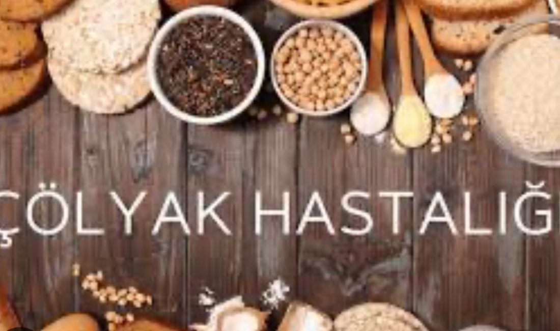 Vatandaşların sağlıklı ve dengeli