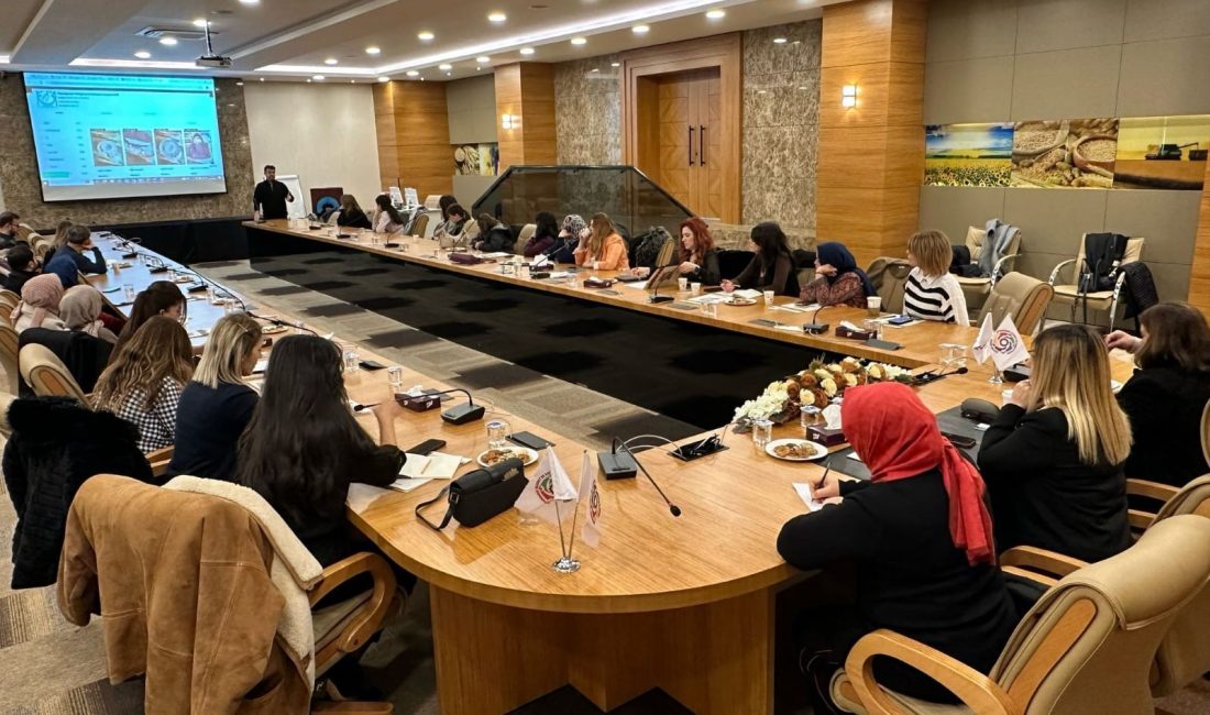 Türkiye Odalar ve Borsalar