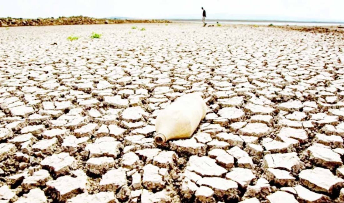 DEM Parti Diyarbakır Milletvekili