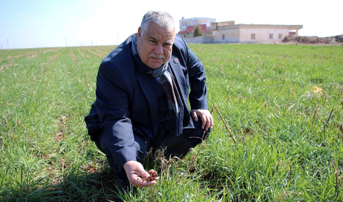 Dicle Elektrik, biriken alacaklarının