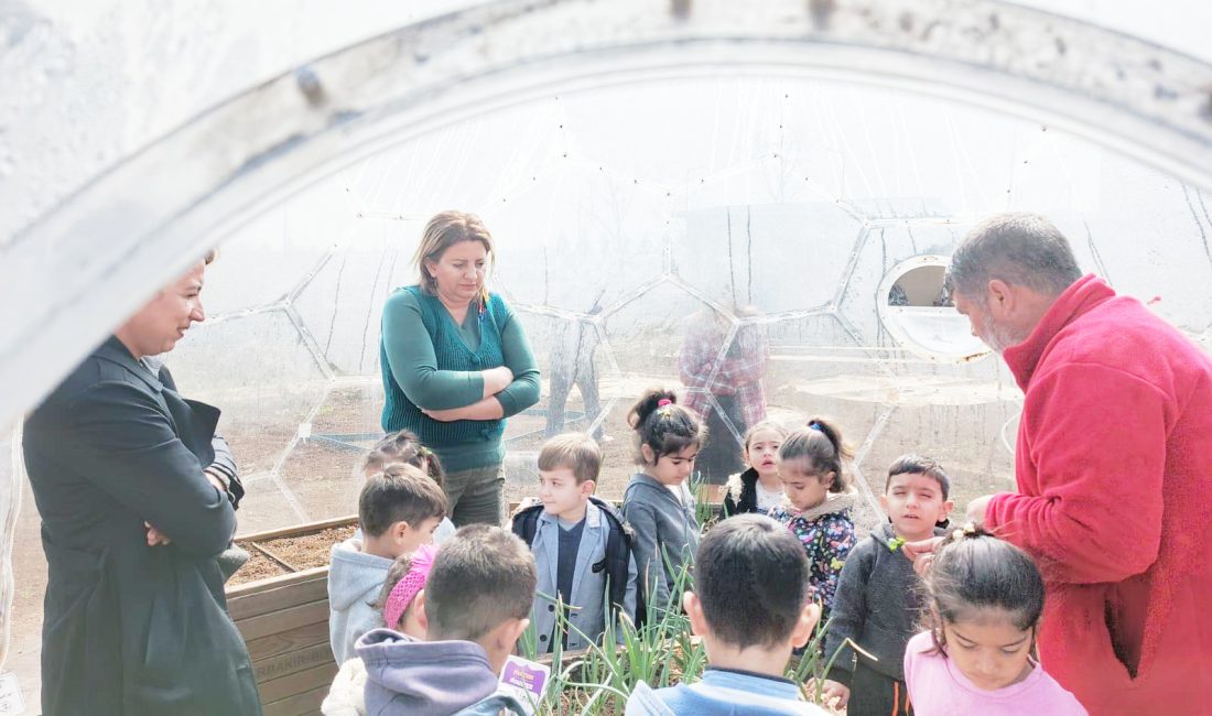 Diyarbakır Büyükşehir Belediyesi, 21