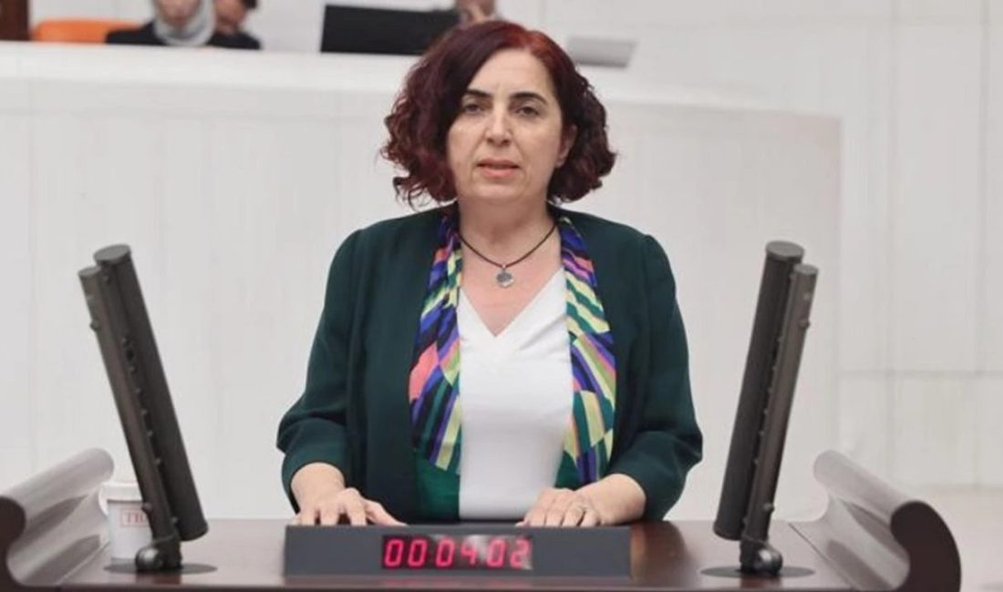 “Diyarbakır’da kaç işletme icra takibine alındı?” Diyarbakır Milletvekili Sevilay Çelenk,