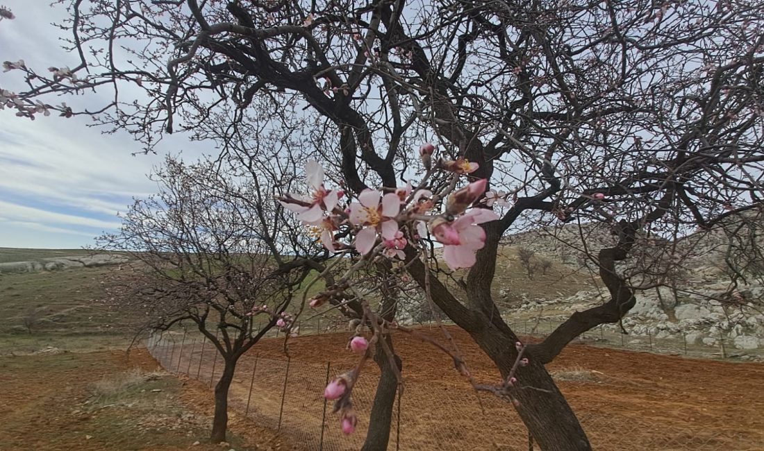 Diyarbakır'ın Silvan ilçesinde bazı