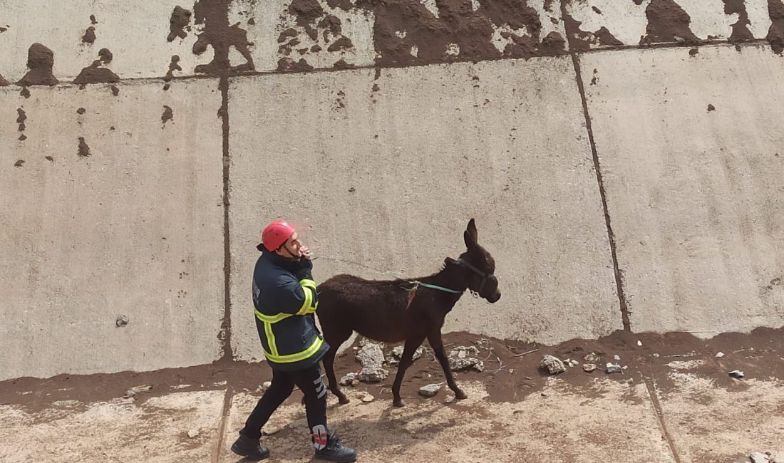 Diyarbakır Büyükşehir Belediyesi İtfaiye
