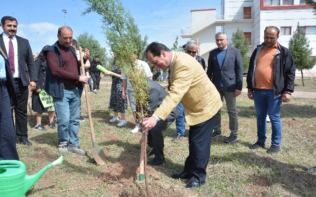 Dicle Üniversitesi İktisadi ve
