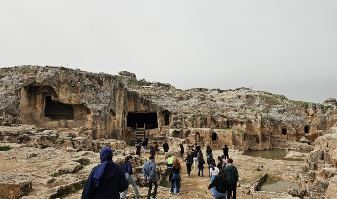 Diyarbakır Büyükşehir Belediyesi, Dicle