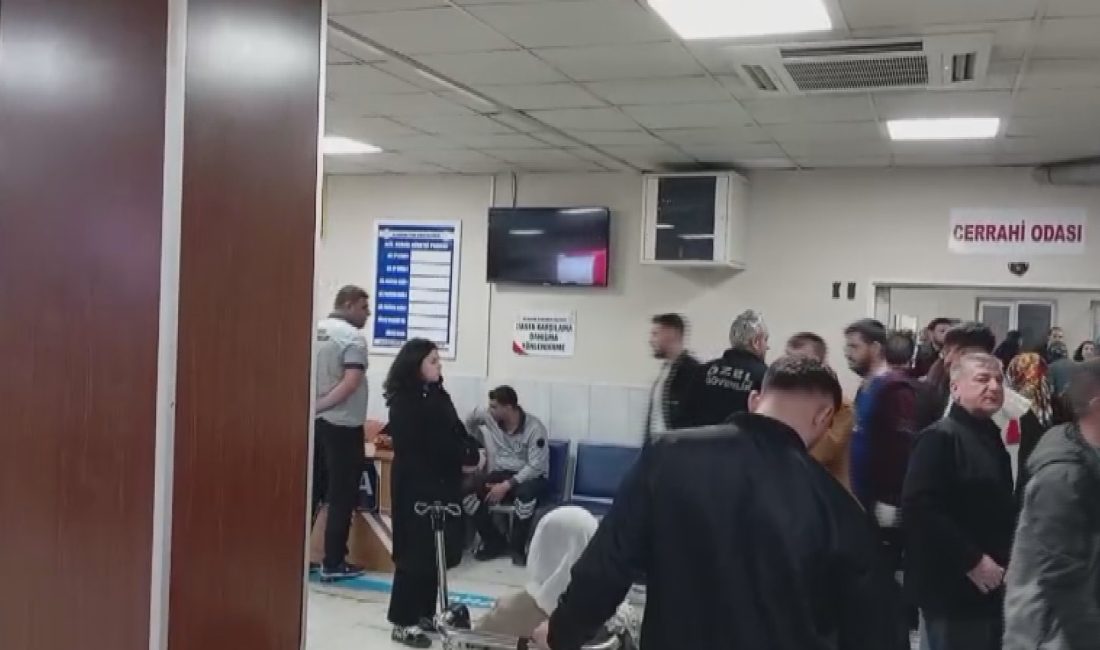 Diyarbakır Selahaddin Eyyubi Devlet