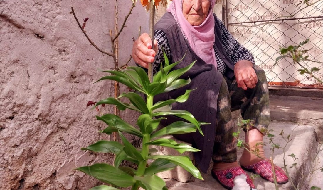 Diyarbakır’ın Çüngüş ilçesinde yaşayan