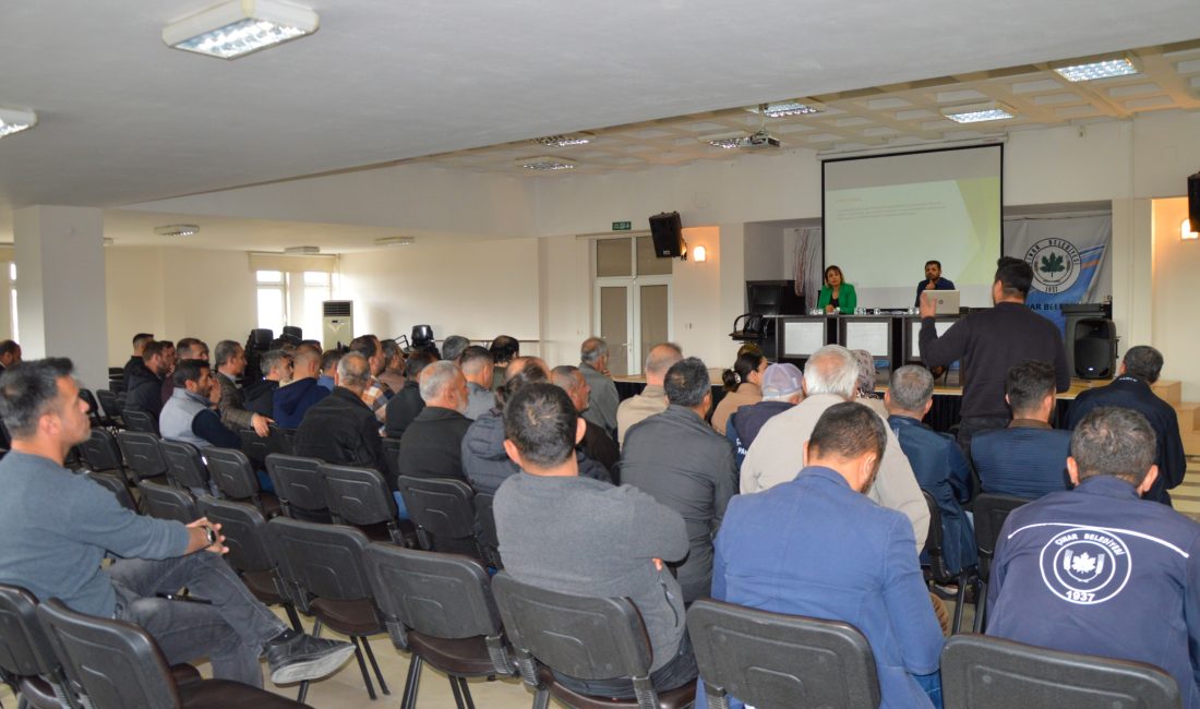 Diyarbakır Büyükşehir Belediyesi, kent