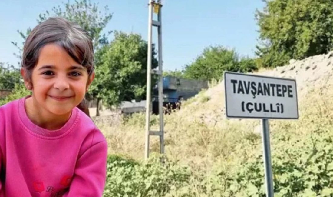 Diyarbakır'da 8 yaşındaki Narin