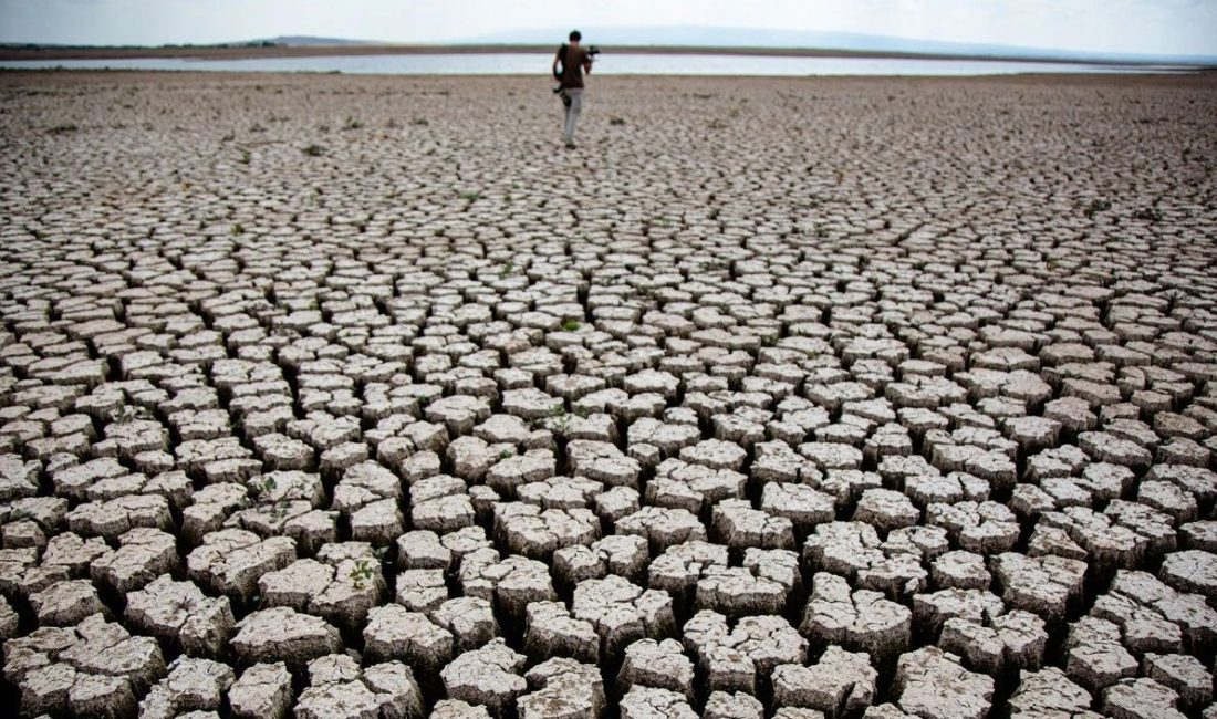 Diyarbakır ve Şanlıurfa başta