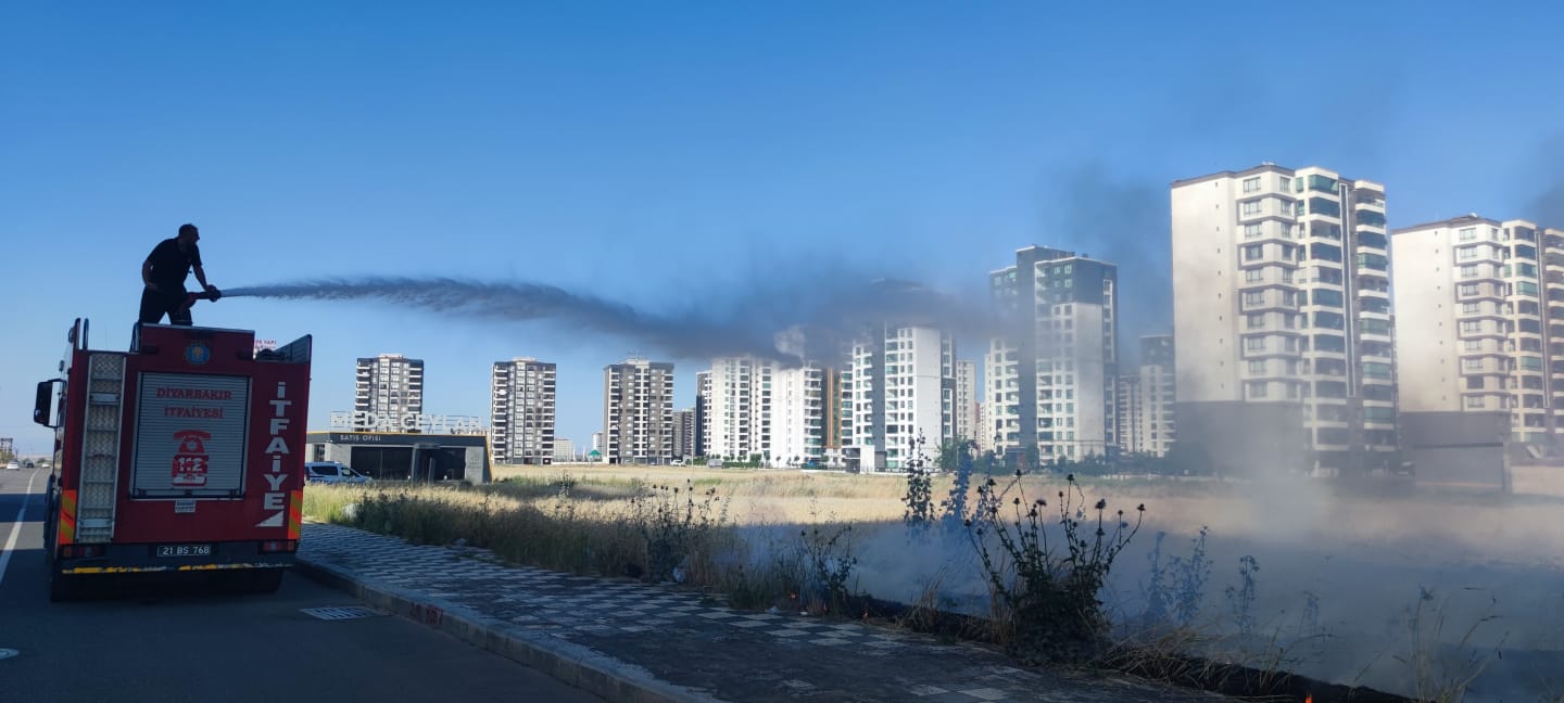 VİDEO HABER- Diyarbakır’da sıcaklar yetmedi tarlayı yaktılar!