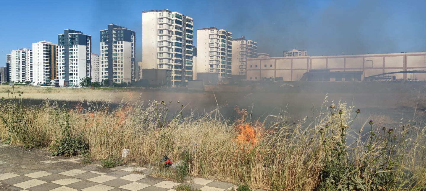 VİDEO HABER- Diyarbakır’da sıcaklar yetmedi tarlayı yaktılar!