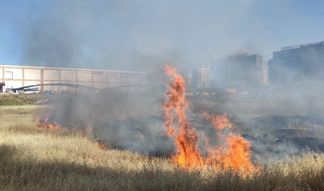VİDEO HABER- Diyarbakır’da sıcaklar yetmedi tarlayı yaktılar! Diyarbakır’da Winston AVM yakınında