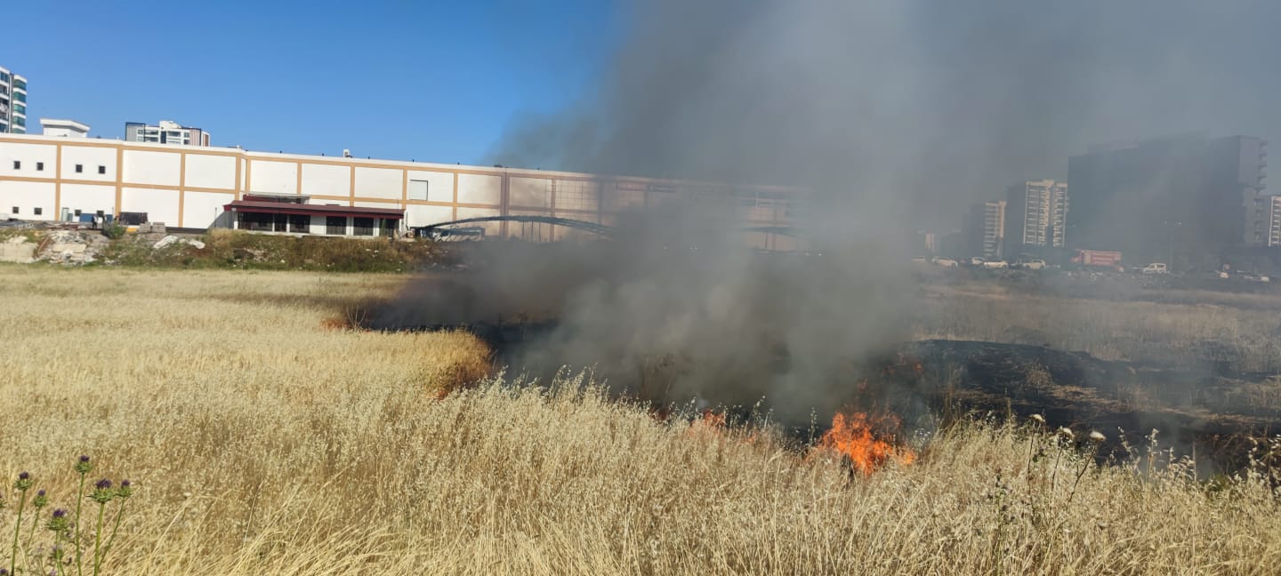 VİDEO HABER- Diyarbakır’da sıcaklar yetmedi tarlayı yaktılar!
