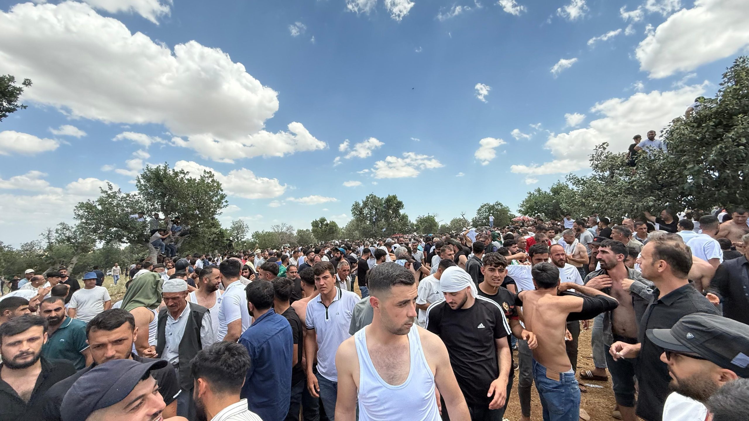 Diyarbakır'da asırlık gelenekte bir araya gelen gençler birbirlerini kırbaçlıyor