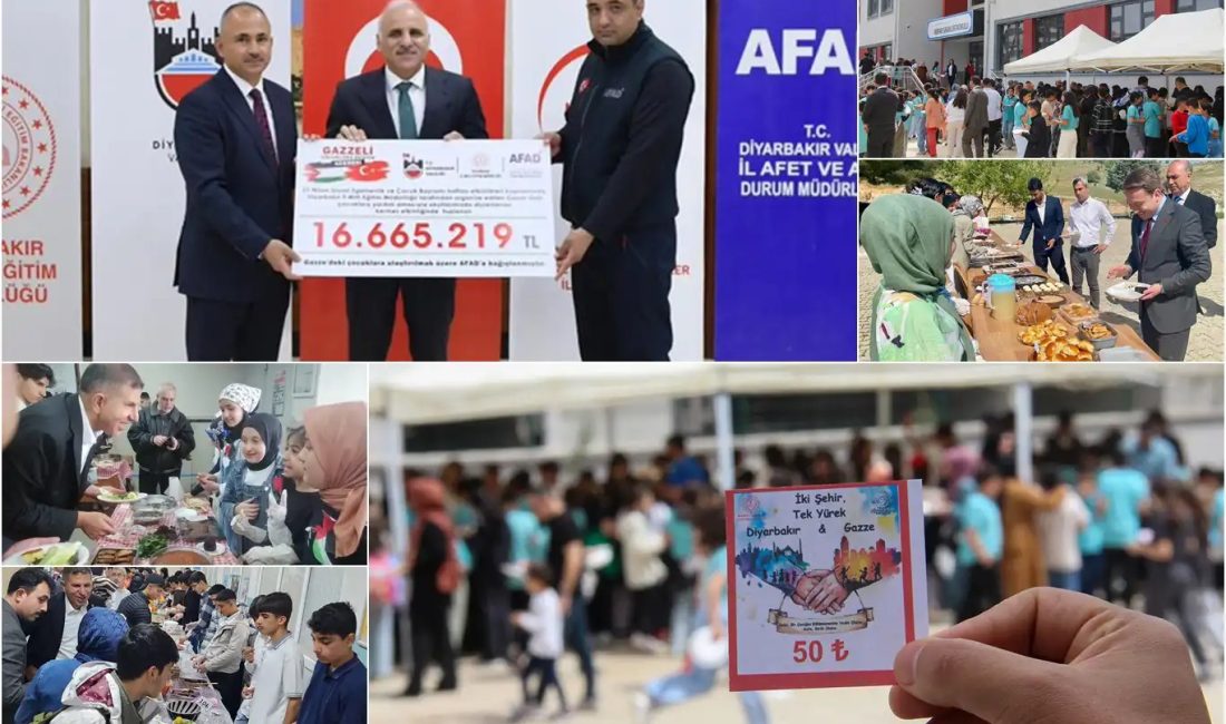Diyarbakır'da farklı okullarda gönüllülük
