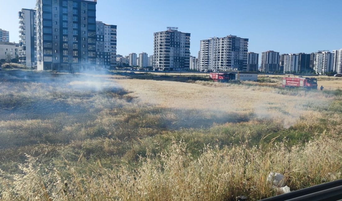 Uzmanlar, bilinçsizce yakılan anızların