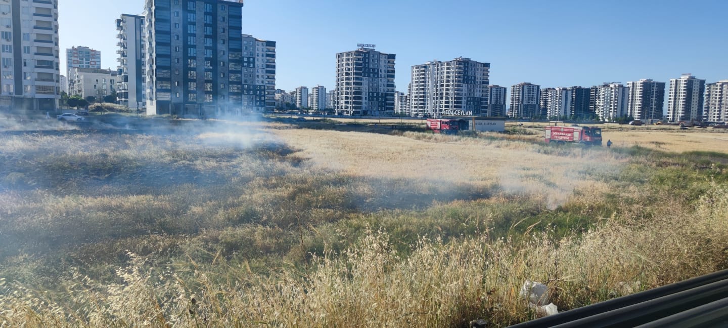 Diyarbakır’da Anız Yangınları Korku Saçıyor: Bir Mahalle Felaketin Eşiğinden Döndü!