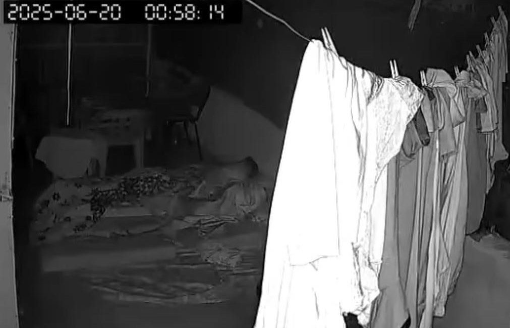 Damda uyuyan kişi, savaş uçağı sesinden korkup içeri kaçtığı anlar kameraya yansıdı Diyarbakır’da damda uyuyan kişi,