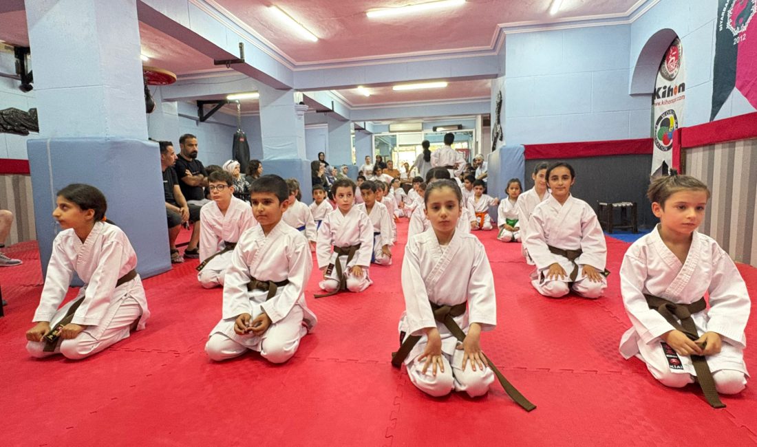 Türkiye Karate Federasyonu faaliyet