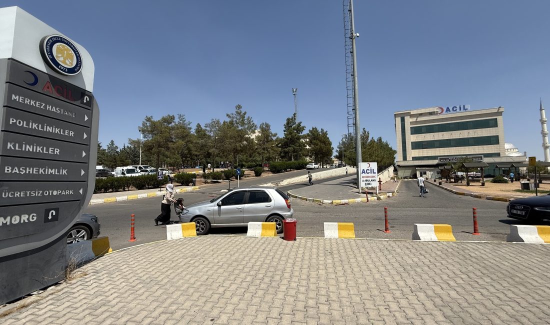 Diyarbakır’ın Çınar ilçesinde kız
