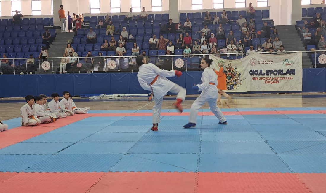 Türkiye Karate Federasyonu faaliyet