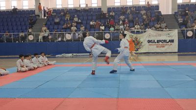 Diyarbakır’da minik karateciler kuşak sınavında ter döktüler Türkiye Karate Federasyonu faaliyet programı