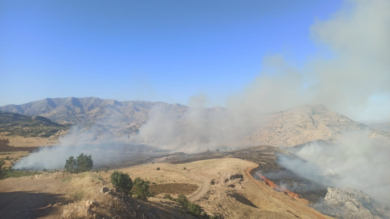 Diyarbakır’da yaylada örtü yangını