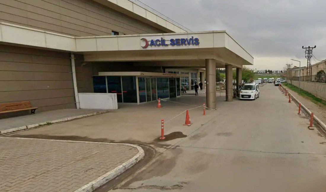Diyarbakır'ın Çınar ilçesinde iki