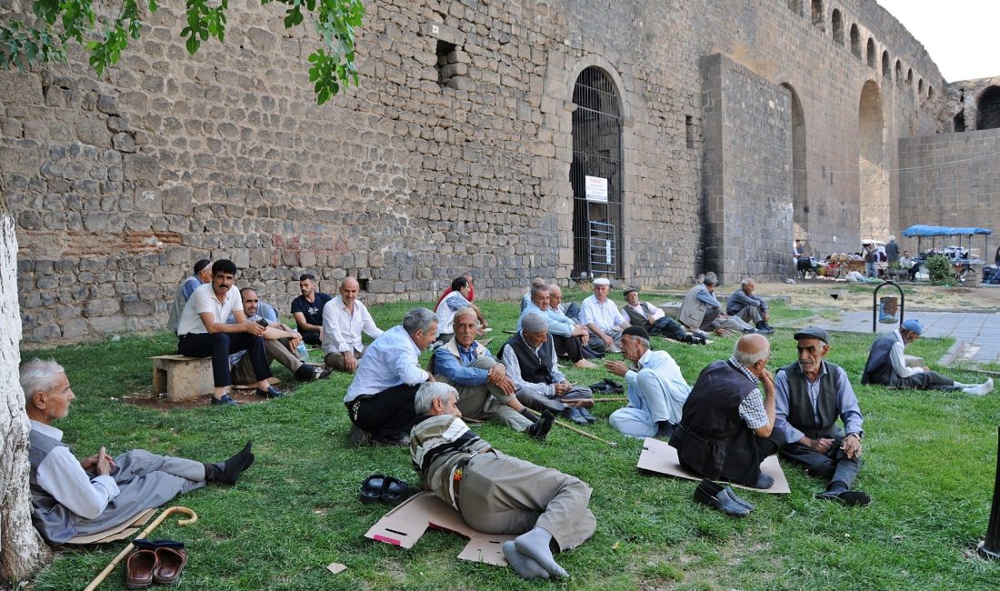 Diyarbakır Gazi Yaşargil Eğitim