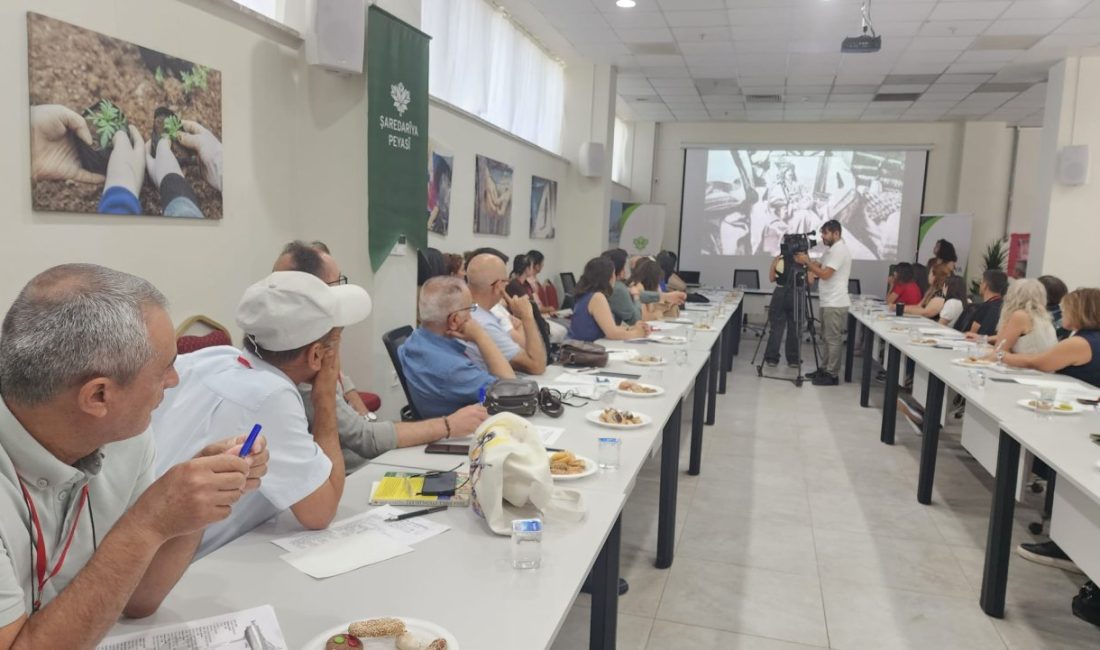 Kayapınar Belediyesi Kültür ve