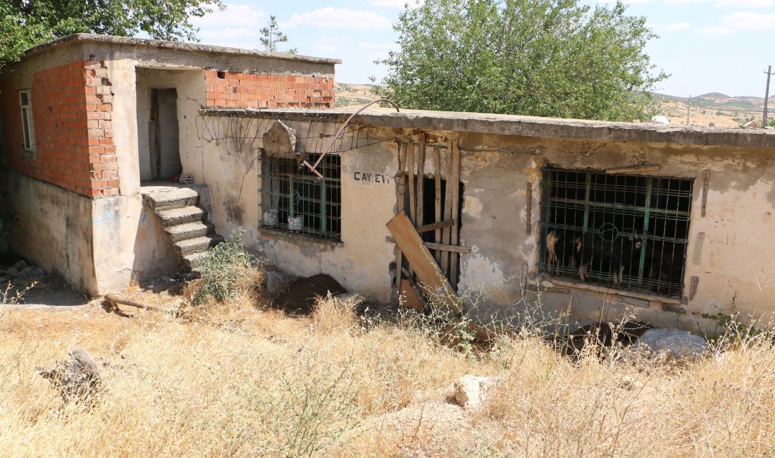 İhlas Haber Ajansı (İHA),