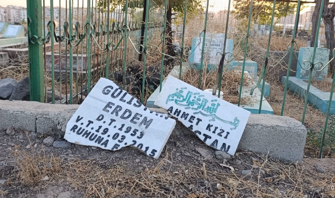 Diyarbakır'daki Peyas Mezarlığı'nda kimliği