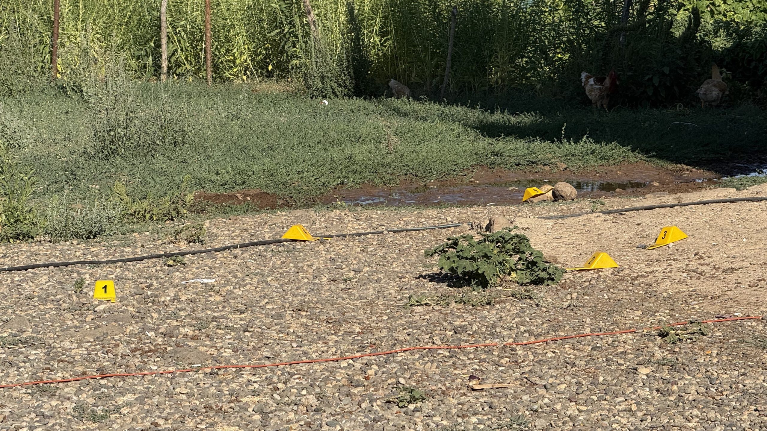 Diyarbakır'da arazi kavgası: 1 ölü, 5 yaralı