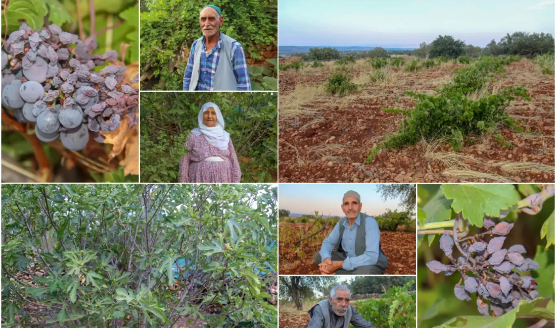 Diyarbakır’da yıllardır emek verdikleri