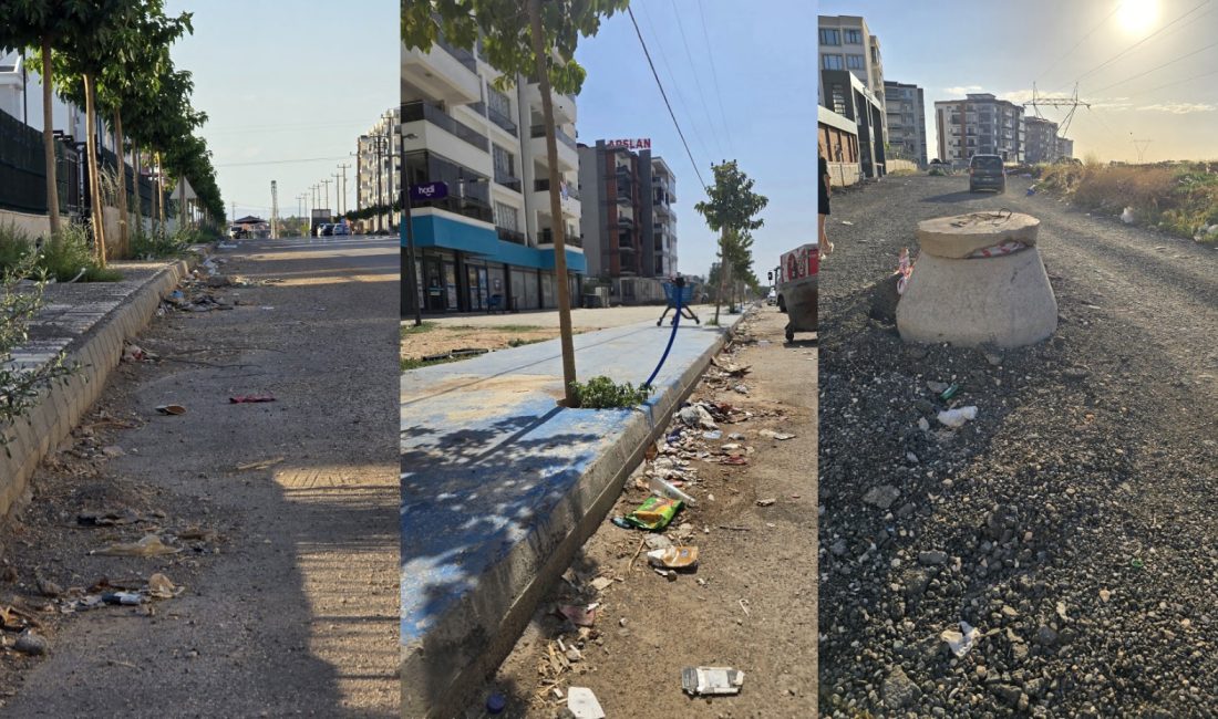 Diyarbakır'ın gelişen Teknokent Bölgesi'nde